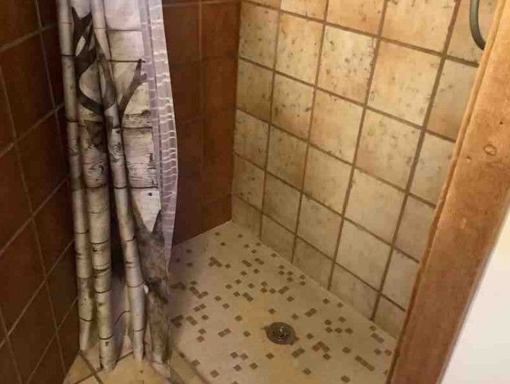Tiled shower with a birch tree patterned curtain and tile floor.